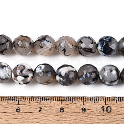Dyed & Heated Natural Fire Crackle Agate Beads Strands&nbsp;G-N359-01B-04