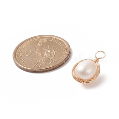 Natural Cultured Freshwater Pearl Pendants&nbsp;PALLOY-JF01979-02