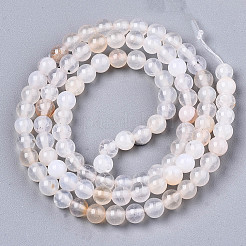 Natural Crackle Agate Beads Strands&nbsp;G-S359-240B