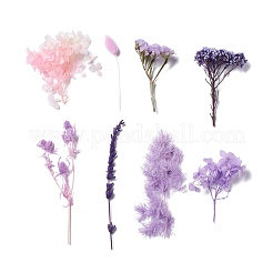 Dried Flowers&nbsp;DIY-D052-11