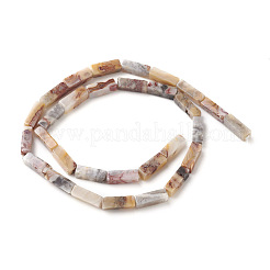 Natural Crazy Lace Agate Beads Strands&nbsp;G-G837-04