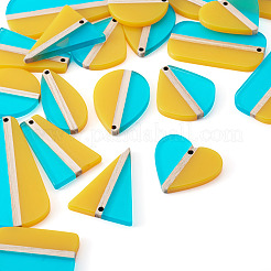 20Pcs 10 Styles Transparent Resin & Natural Wood Pendants&nbsp;RESI-TA0004-47