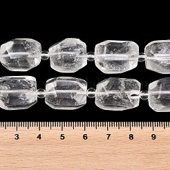 Natural Quartz Crystal Beads Strands&nbsp;G-Z147-E01-01