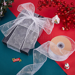 Transparent Single Face Chiffon Ribbon for Christmas&nbsp;OCOR-WH0071-008A