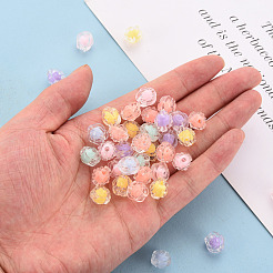 Transparent Acrylic Beads&nbsp;TACR-S152-20A