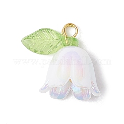 5Pcs Transparent Acrylic Pendants&nbsp;PALLOY-JF04703-01
