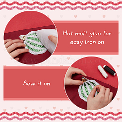 10Pcs 5 Styles Sequin Embroidery Iron on/Sew on Patches&nbsp;DIY-FG0006-10