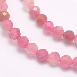 Natural Red Tourmaline Beads Strands&nbsp;G-F509-09-2mm