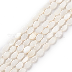 Natural Freshwater Shell Beads Strands&nbsp;BSHE-E028-03