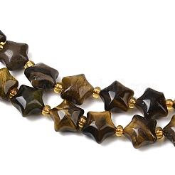 Natural Tiger Eye Beads Strands&nbsp;G-Z080-A16-10mm