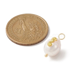 Natural Freshwater Pearl Pendants&nbsp;PALLOY-JF02151