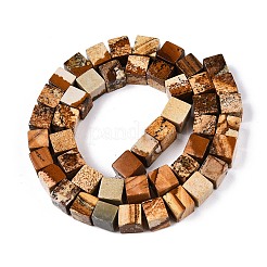 Natural Picture Jasper Beads Strands&nbsp;G-T139-8x8-27A