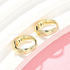 Twist Brass Hoop Earrings&nbsp;EJEW-Z102-12G