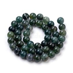 Natural Moss Agate Beads Strands&nbsp;G-I199-06-8mm