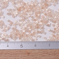 MIYUKI Delica Beads&nbsp;SEED-X0054-DB0824