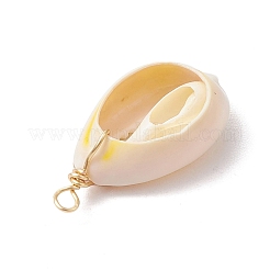 Natural Cowrie Shell Pendants&nbsp;PALLOY-JF03316-04