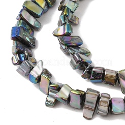 Natural Freshwater Shell Beads Strands&nbsp;BSHE-H018-07E