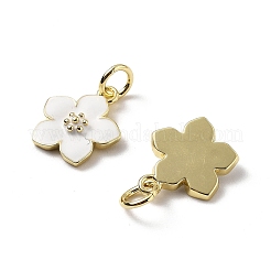 Brass Enamel Charms&nbsp;KK-Z114-23G-02