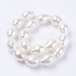 Shell Pearl Beads Strands&nbsp;BSHE-L035-A02