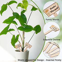 2 Bags Wooden Plant Labels&nbsp;DIY-CP0012-70