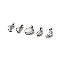5Pcs 304 Stainless Steel Charms&nbsp;STAS-M017-14P