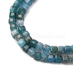 Natural Apatite Beads Strands&nbsp;G-C196-B01-2x2mm