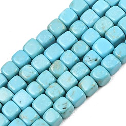 Natural Magnesite Beads Strands&nbsp;G-Z143-C01-01