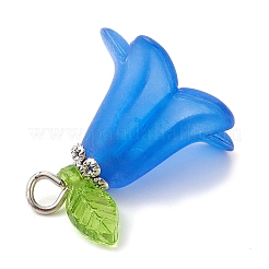 Frosted Acrylic Pendants Kit&nbsp;PALLOY-JF02421