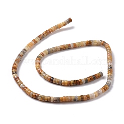 Natural Crazy Lace Agate Beads Strands&nbsp;LS-G-P468-09