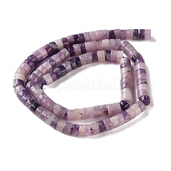 Natural Lepidolite/Purple Mica Stone Beads Strands&nbsp;G-M420-A19-01