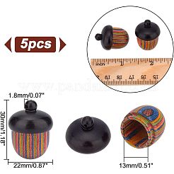 Spray Painted Wooden Acorn Box Jewelry Pendants&nbsp;FIND-WH0143-46
