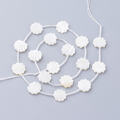 Natural White Shell Beads&nbsp;X-SSHEL-Q298-06