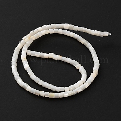 Natural Freshwater Shell Beads Strands&nbsp;SHEL-WH0003-15