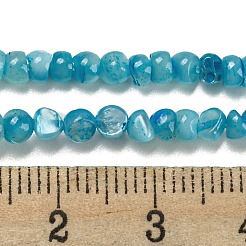 Natural White Shell Dyed Beads Strands&nbsp;BSHE-Z005-03B