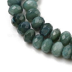 Natural Freshwater Shell Dyed Beads Strands&nbsp;SHEL-R100-13A-05