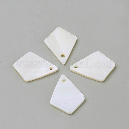 Freshwater Shell Pendants&nbsp;BSHE-S620-06-1