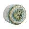 Polyester Yarn, for Knitting Crochet Supplies, Light Green, 2.5mm, about 306.21 Yards(280m)/Skein