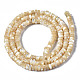 Natural Trochid Shell/Trochus Shell Beads Strands&nbsp;SSHEL-S266-019B-01-2