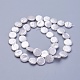 Shell Pearl Beads Strands&nbsp;BSHE-P030-01C-1