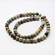 Natural Polychrome Jasper/Picasso Stone/Picasso Jasper Bead Strands&nbsp;G-G735-45-6mm-2