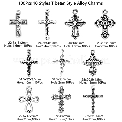 100Pcs 10 Styles Tibetan Style Alloy Pendants&nbsp;TIBEP-CJ0001-84