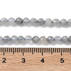 Natural Labradorite Beads Strands&nbsp;G-L651-C11-4mm