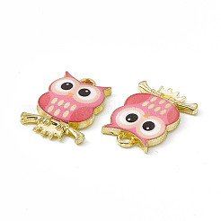 Painted Alloy Pendants&nbsp;PALLOY-P288-01G-09