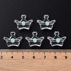 Transparent Acrylic Beads&nbsp;MACR-S373-105-B03