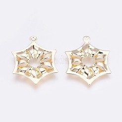 Brass Pendants&nbsp;KK-I622-13G-B-NF