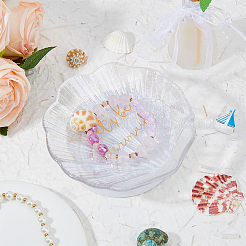 Shell Shape Glass Jewelry Plates&nbsp;DJEW-WH0058-09