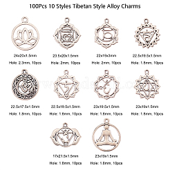 100Pcs 10 Styles Tibetan Style Alloy Pendants&nbsp;TIBEP-CJ0001-50