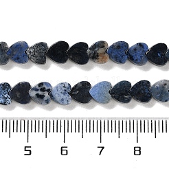 Natural Sodalite Beads Strands&nbsp;G-M403-A08-02