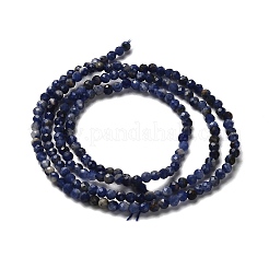 Natural Sodalite Beads Strands&nbsp;G-RM2025-A19-2mm-B