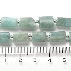Natural Amazonite Beads Strands&nbsp;G-N327-06-10
